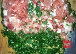 苋菜猪肉水饺的做法图解3