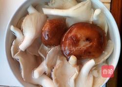 双菇西红柿烩豆腐的做法图解2