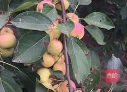 海棠果罐头的做法图解1