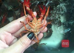 麻辣小龙虾的做法图解1