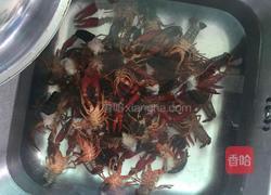 麻辣小龙虾的做法图解2