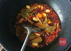 麻辣小龙虾的做法图解4