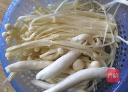 鲫鱼菌菇汤的做法图解2