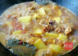 番茄土豆炖鸡的做法图解10