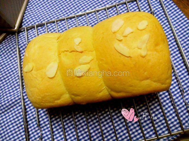 中种土司