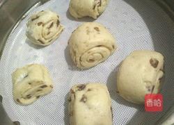 红枣馒头的做法图解6