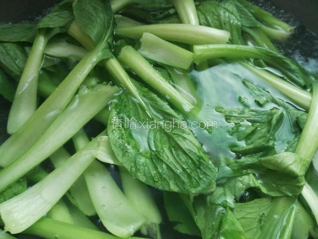 青菜洗干净，切生姜片，胡萝卜切粒