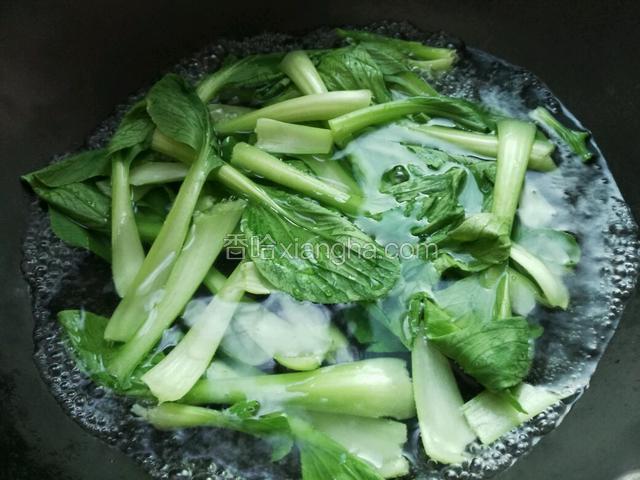 入锅焯水捞出