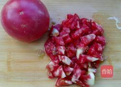 西红柿鸡蛋饼的做法图解1