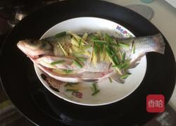 清蒸鳊鱼的做法图解8
