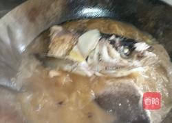 传食炖传奇花鲢鱼的做法图解3
