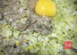 白菜猪肉饺的做法图解4