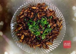 干煲雄蚕蛾的做法图解8