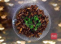 干煲雄蚕蛾的做法图解9