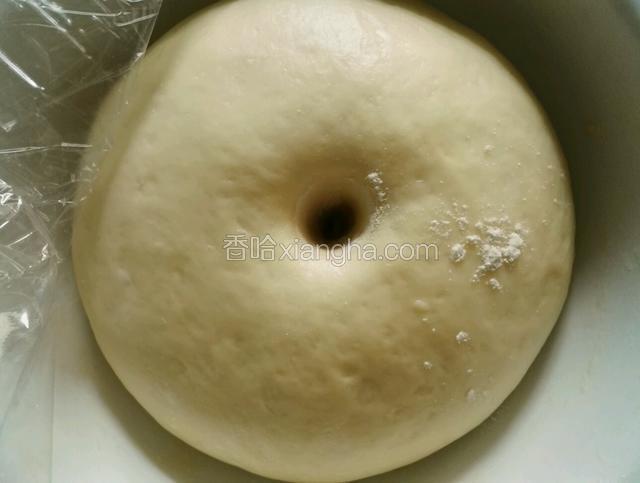 发酵好后用手指蘸面粉捅面团不回缩证明发酵好了