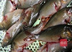 香煎禾花鱼的做法图解1