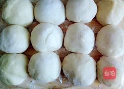 火腿肠椰蓉吐司面包（面粉版）的做法图解6