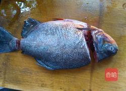 清蒸鳊鱼的做法图解1