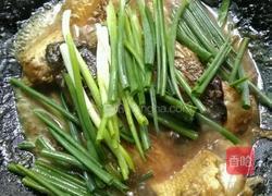 焖鲢鱼的做法图解6