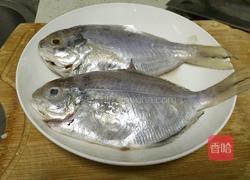 香煎鲳鱼的做法图解1