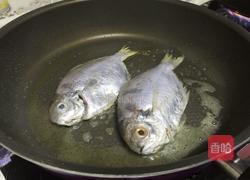 香煎鲳鱼的做法图解4