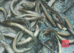 香煎泥鳅的做法图解2