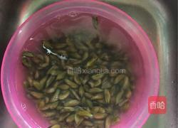 炒薄壳的做法图解1