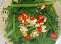 白灼南瓜苗的做法图解5