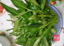 白灼空心菜的做法图解2