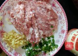 麻辣抄手的做法图解1