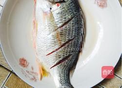 红烧黄莿鱼的做法图解1