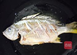 红烧黄莿鱼的做法图解4