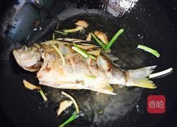 红烧黄莿鱼的做法图解5