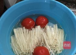 西红柿炖牛腿筋的做法图解1