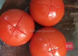 西红柿炖牛腿筋的做法图解4