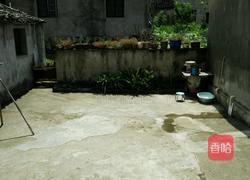 南瓜干的做法图解1