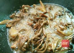 茶树菇焖鸡的做法图解8