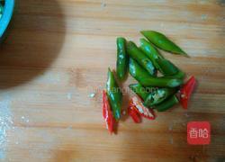 胡萝卜木耳的做法图解4