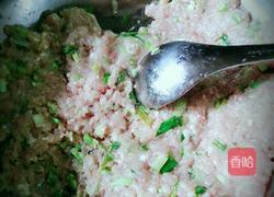 玫瑰花饺子的做法图解1