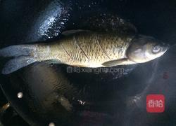 红烧草鱼的做法图解5