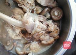 香菇炖土鸡的做法图解6
