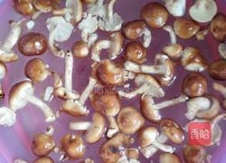 香菇炖土鸡的做法图解4