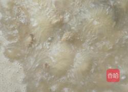 香菇炖土鸡的做法图解3