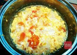 番茄蛋汤的做法图解5