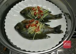 清蒸太阳鱼的做法图解3