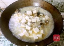 鲫鱼白玉汤的做法图解9