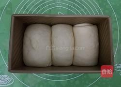 葡萄干牛奶吐司的做法图解7