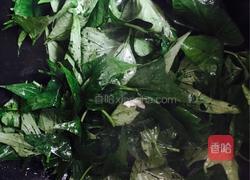 蒜香红薯叶的做法图解3