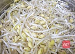 肉烧黄豆芽的做法图解1