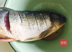 红烧黄河大鲤鱼的做法图解2